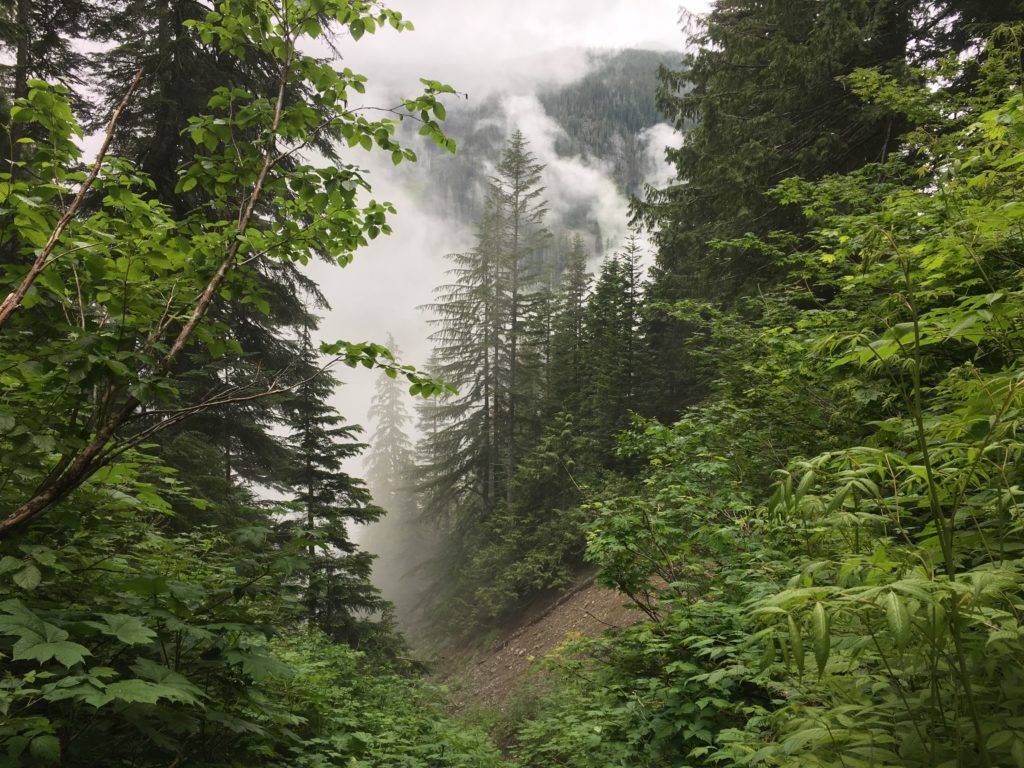 "June-uary" weather in the Cascades.