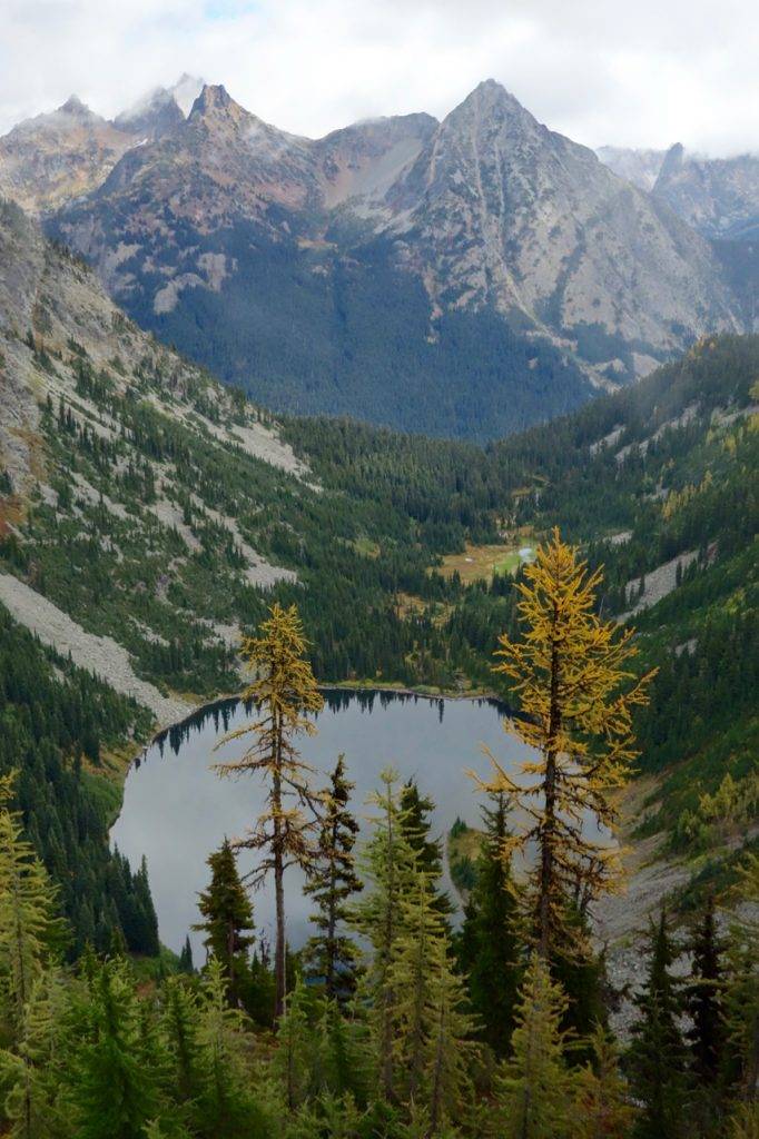 Larches beginning to turn above Lake Ann