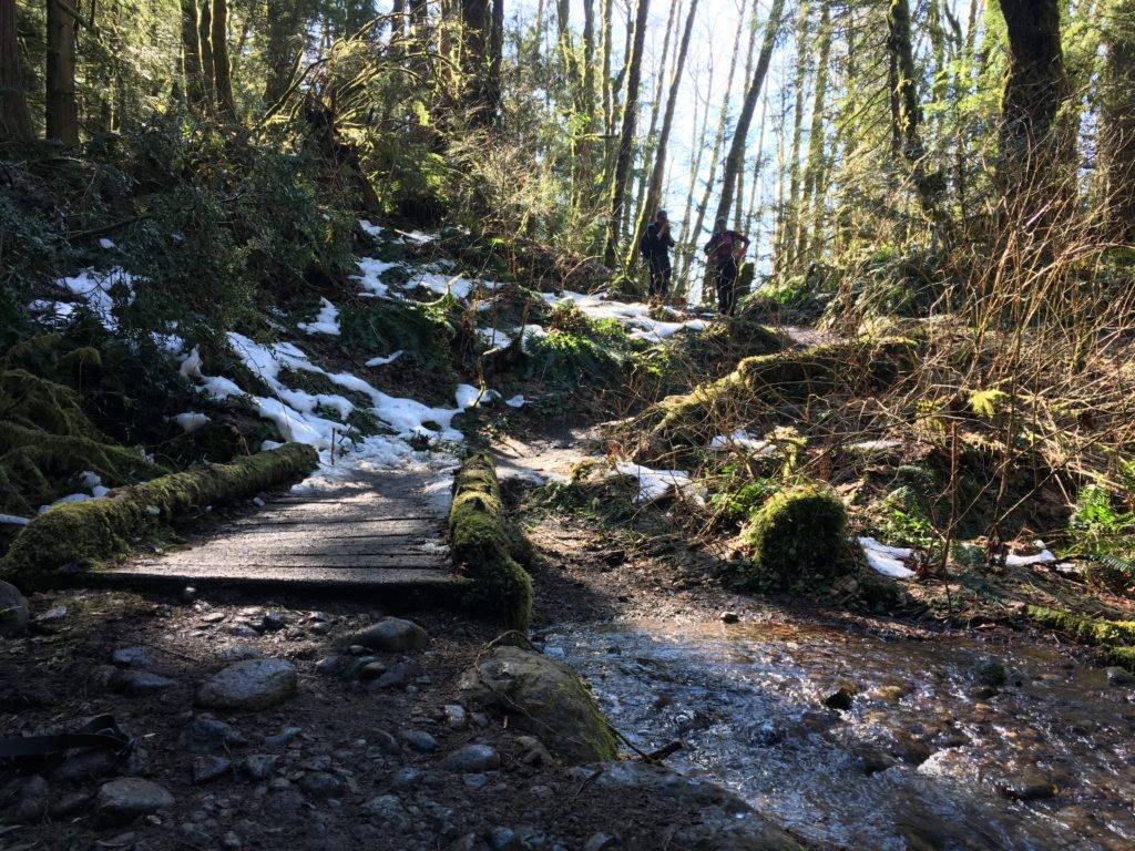 The trail was wet and muddy below the snow line.
